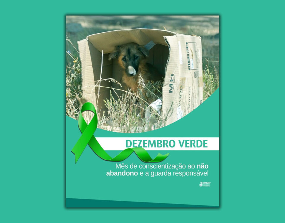 dezembro-verde