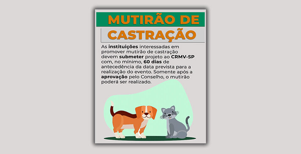 mutirao-de-castracao