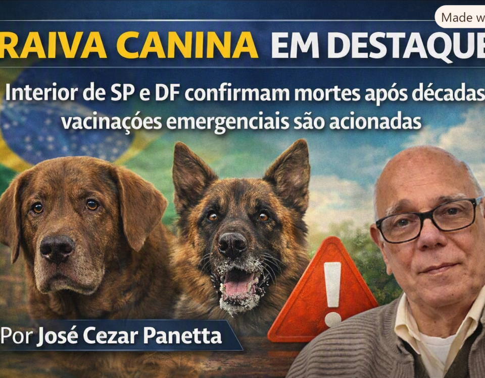 capa-alerta-de-saude-publica-raiva